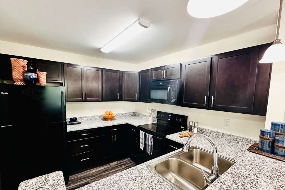 Bright kitchen with modern cabinetry