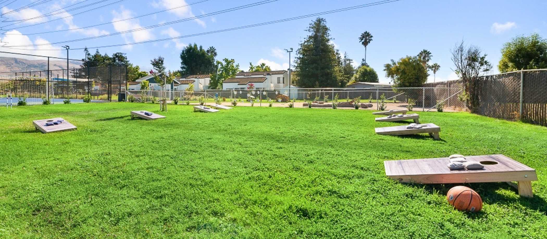 A grassy field featuring a basketball court and volleyball net at Mariposa Fremont in Fremont, California.