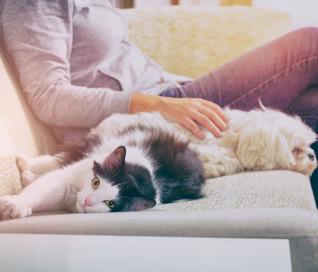 Resident and pets enjoying their new home at Villas of Waterford Apartments in Wichita, Kansas