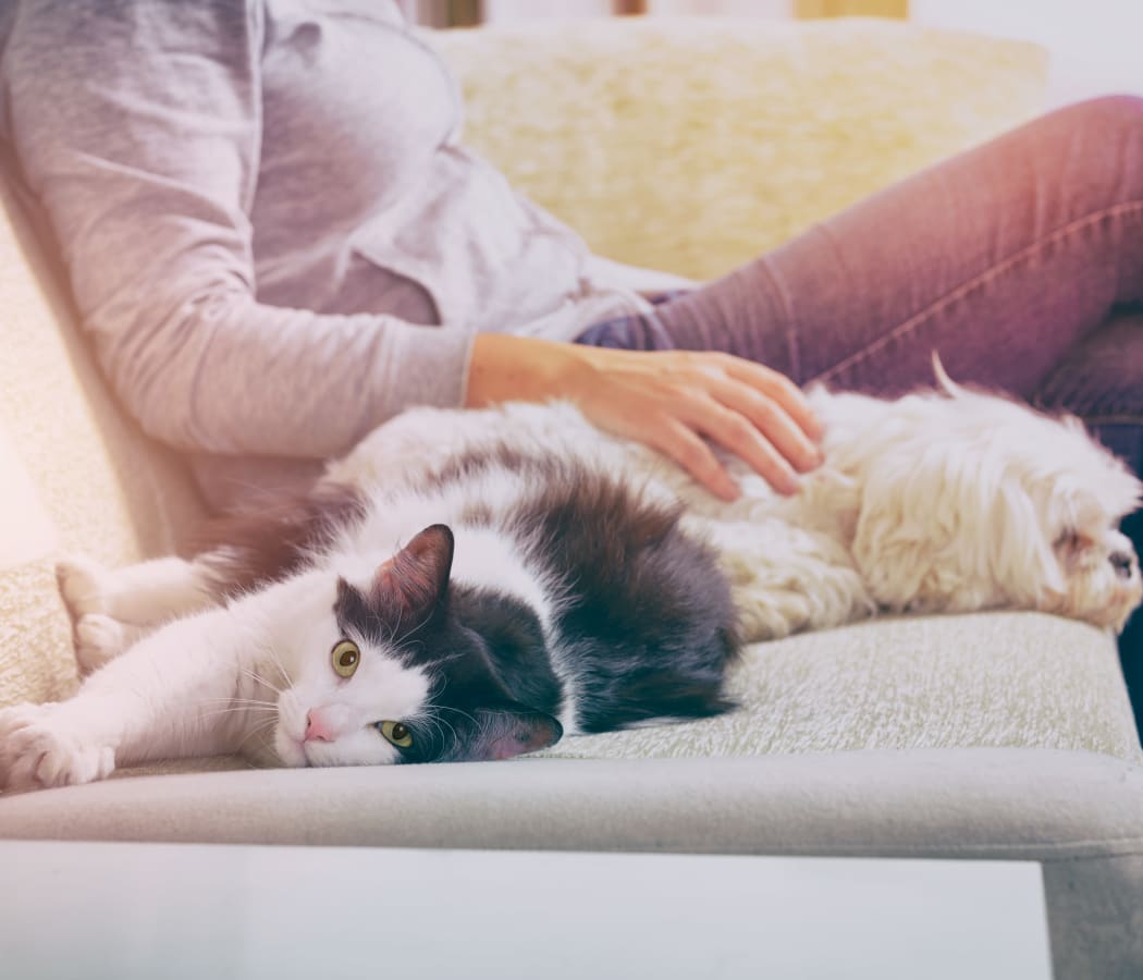 Resident and pets enjoying their new home at Villas at Stonebridge in Edmond, Oklahoma