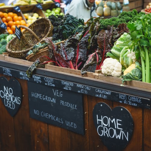 farmers market near Rink Savoy in Indianapolis, Indiana