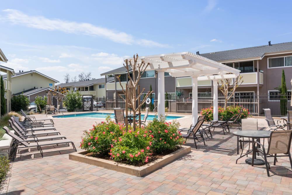 Courtyard by the pool of Fremont Arms Apartment Homes in Fremont, California