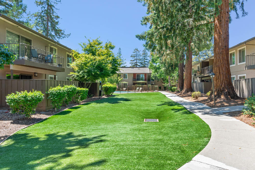 Large grass lawn for summer picnics at Flora Condominium Rentals in Walnut Creek, California