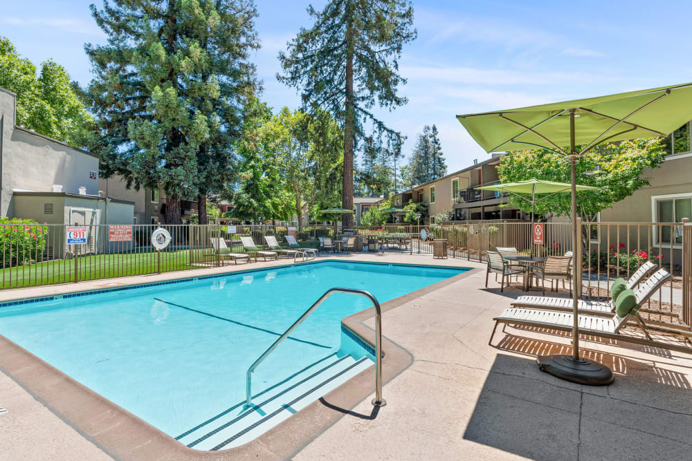 Swimming pool with a wrap-around sundeck at Flora Condominium Rentals in Walnut Creek, California