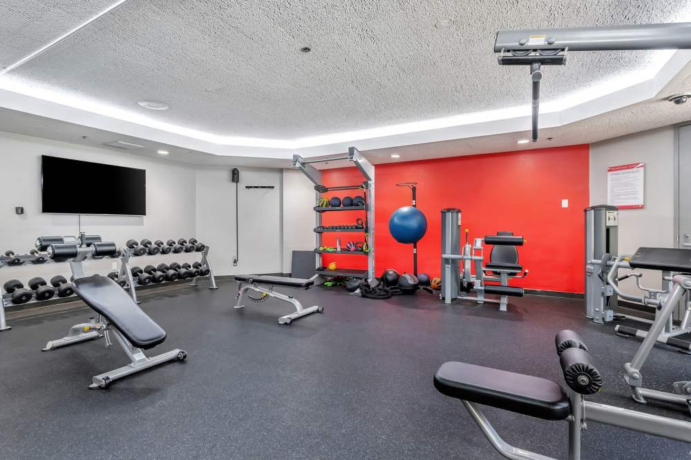 Fitness center with a tv and weights at Promenade Towers in Los Angeles, California