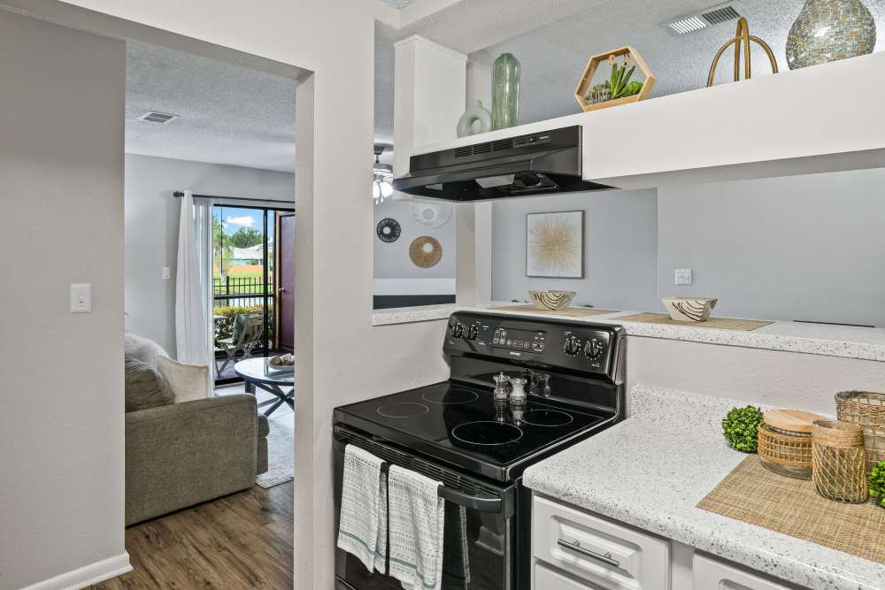 Model kitchen at Waterstone At Carrollwood in Tampa, Florida