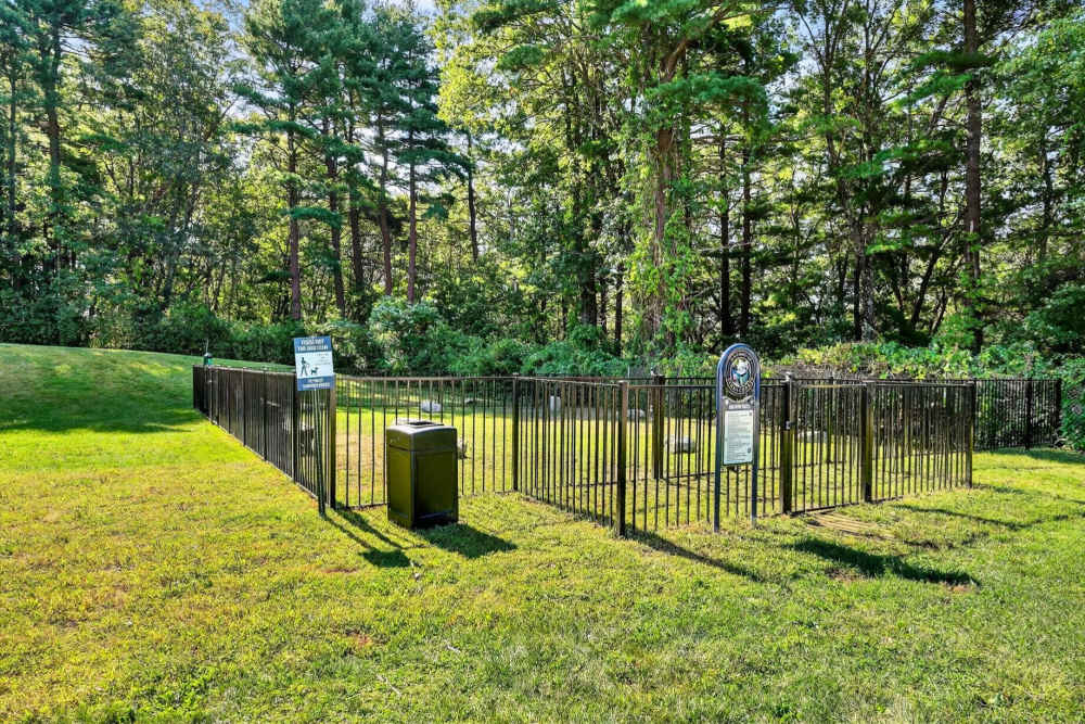 Pet friendly community at Eagle Rock Apartments at MetroWest in Framingham, Massachusetts