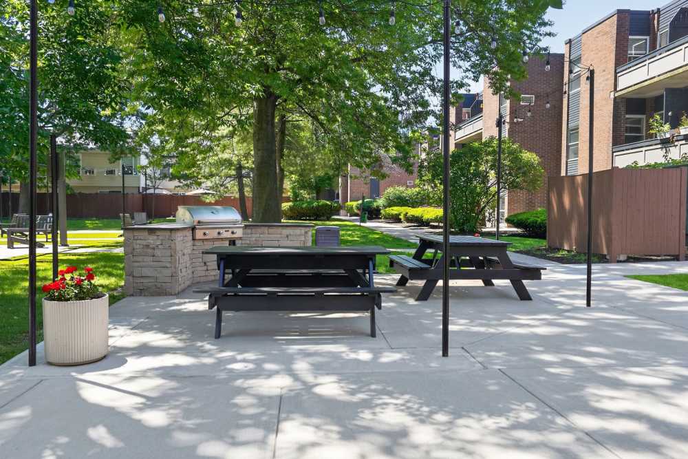 Grill and picnic area at Eagle Rock Apartments & Townhomes at Brighton in Brighton, Massachusetts