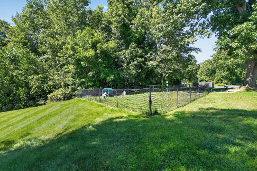 Dog park at Mansions at Delmar, an Eagle Rock Community in Delmar, New York