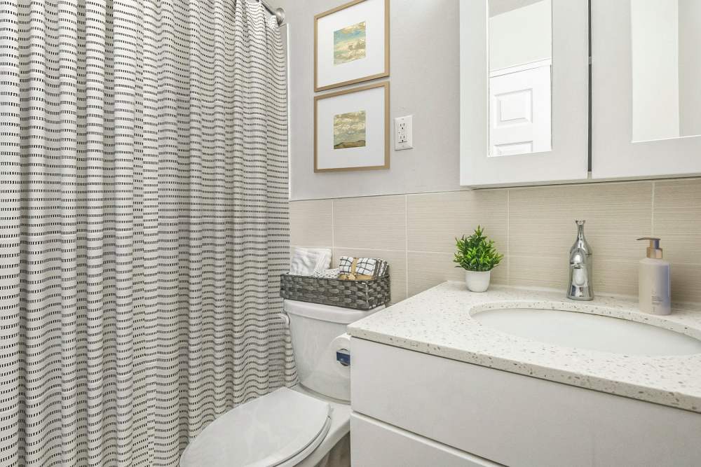 Renovated Bathroom with Modern Appliances at Chestnut Hill Tower in Philadelphia, Pennsylvania