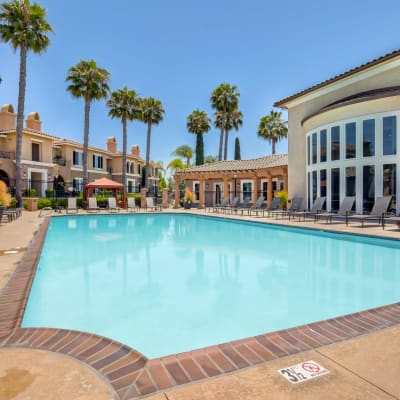 Beautiful resort-style swimming pool at Sofi Shadowridge in Vista, California