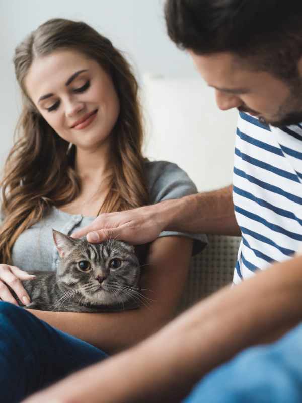 A couple petting their cat at Palmhouse Jacksonville in Jacksonville, Florida