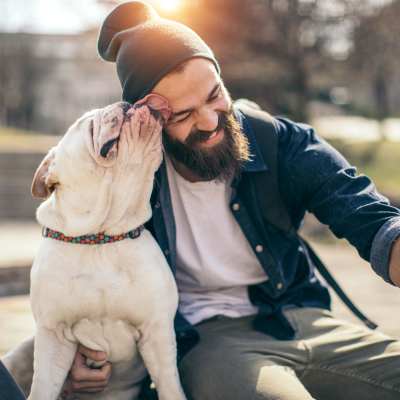 Link to pet policy of Rothko Residences in Portland, Oregon