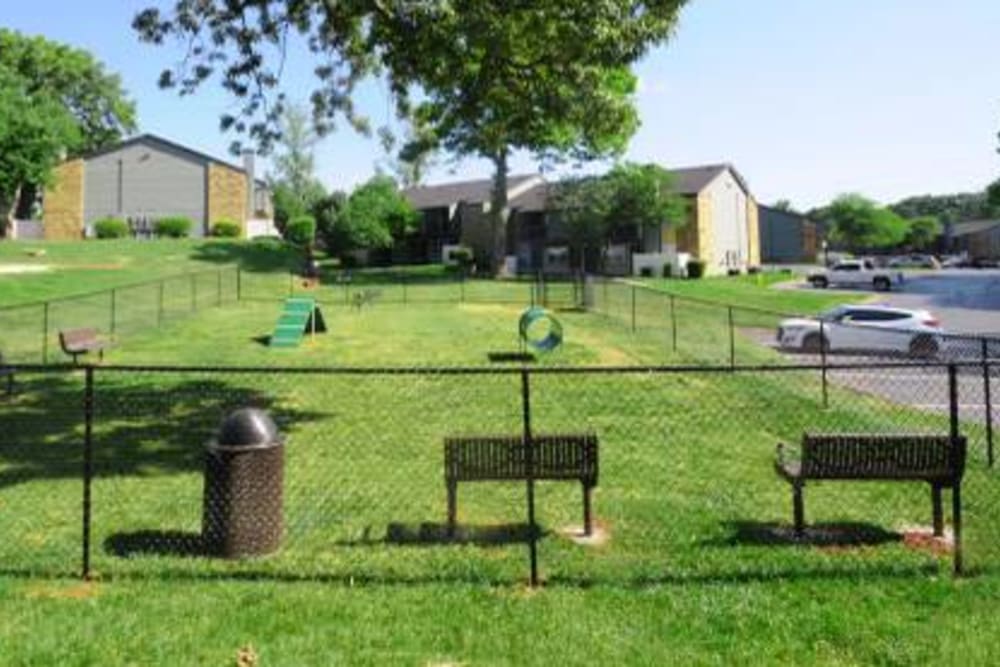 Expansive onsite dog park with an agility course at Goldelm at Metropolitan in Knoxville, Tennessee