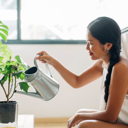 Resident watering plants in her bright and spacious home at Solaire 8200 Dixon in Silver Spring, Maryland