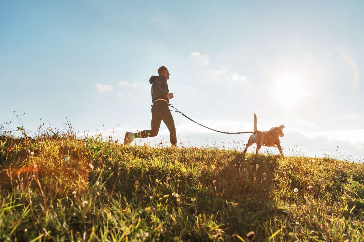 Pet park at Emerald Palms in Miami, Florida