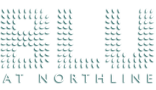 Logo for Blu at Northline Apartments in Charlotte, North Carolina