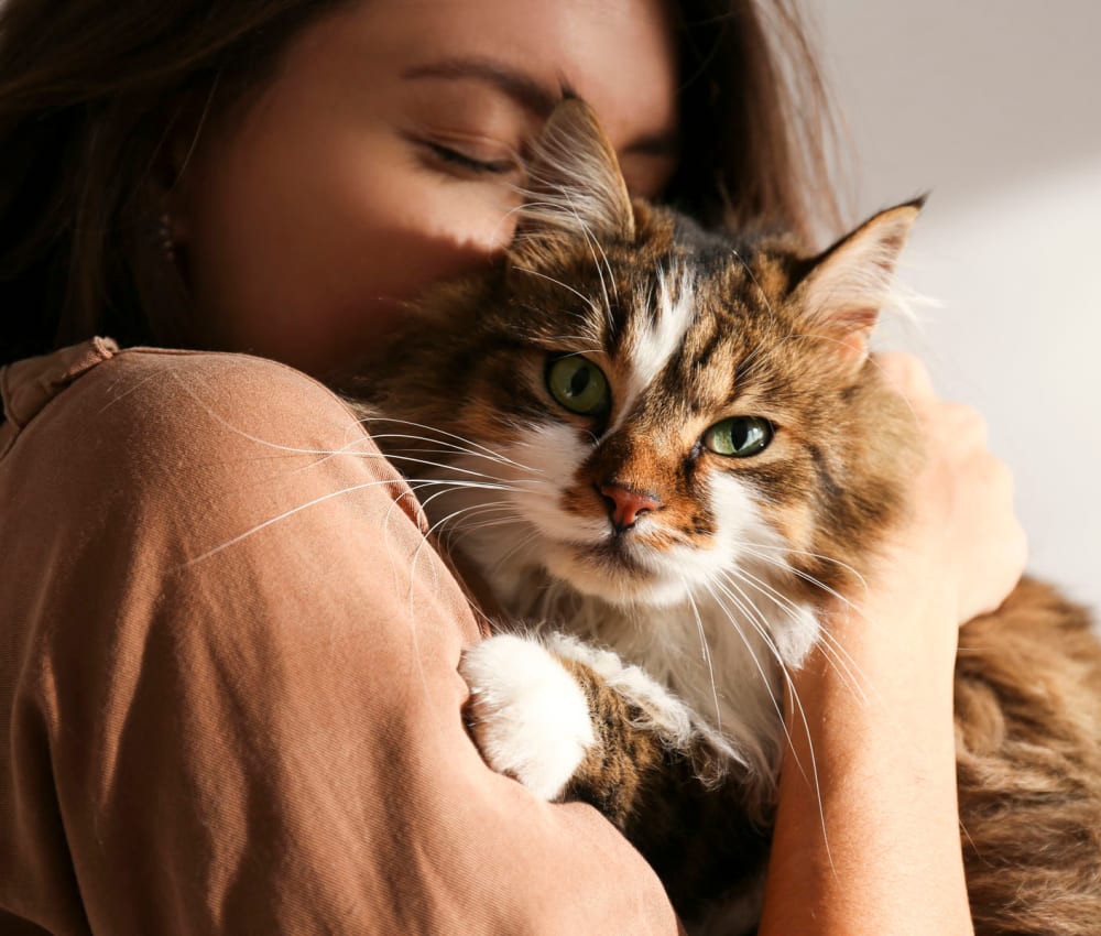 Resident hugging her cat in their new home at Sunset Barrington Gardens in Los Angeles, California