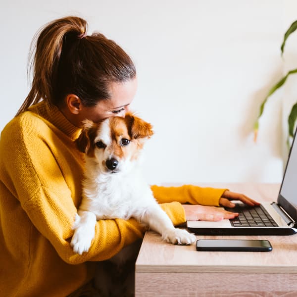 Resident working on her laptop with her dog sitting on her lap at Palmetto Greens Apartment Homes in Covington, Louisiana