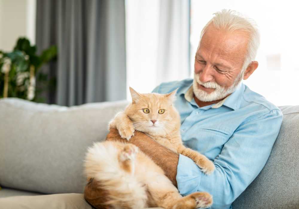 Senior man with his orange cat at Clearwater Agritopia in Gilbert, Arizona