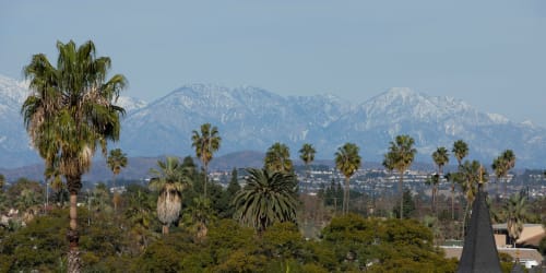 A view of mountains and palm trees near Palisades Sierra Del Oro in Corona, California