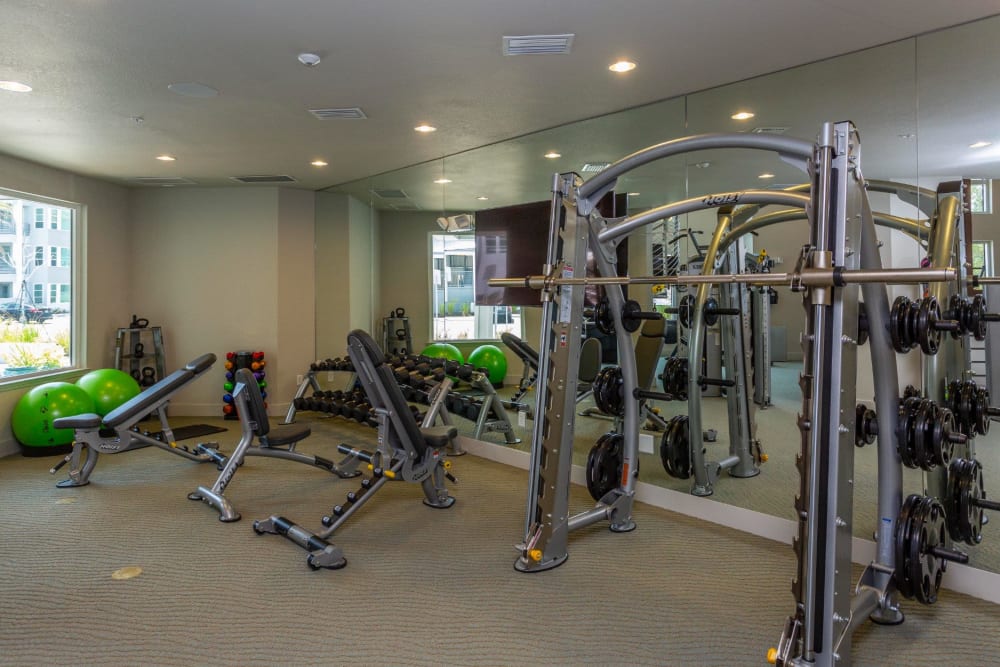 Well-equipped onsite fitness center at 50 Paramount in Sarasota, Florida