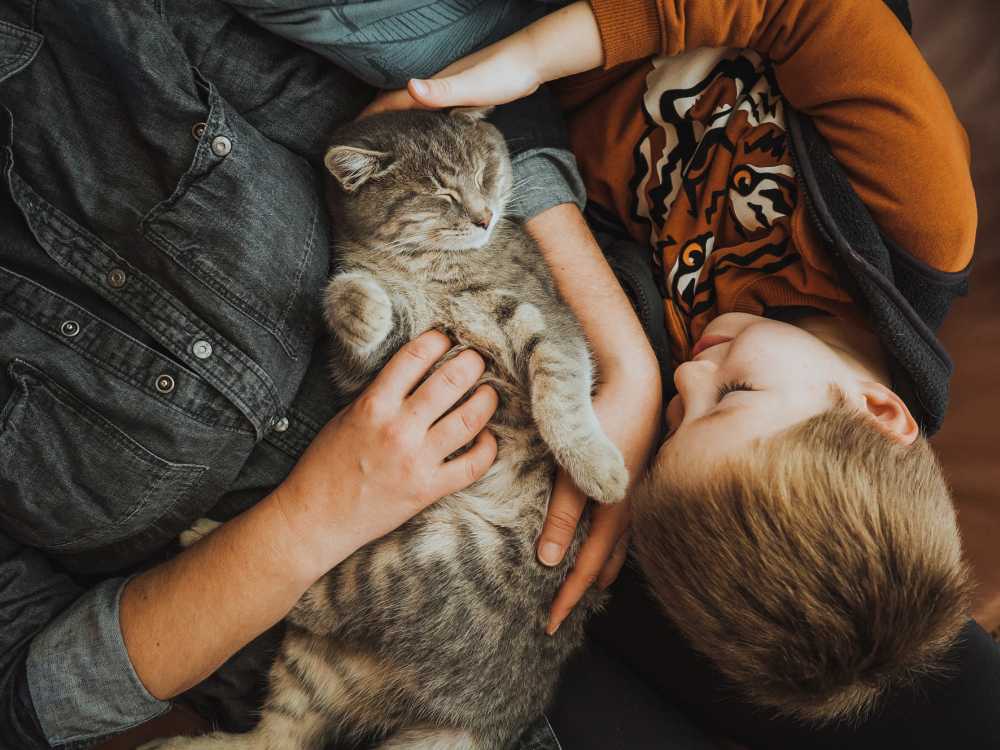 Family cuddling with cat on cozy couch at Runaway Bay in Lansing, Michigan
