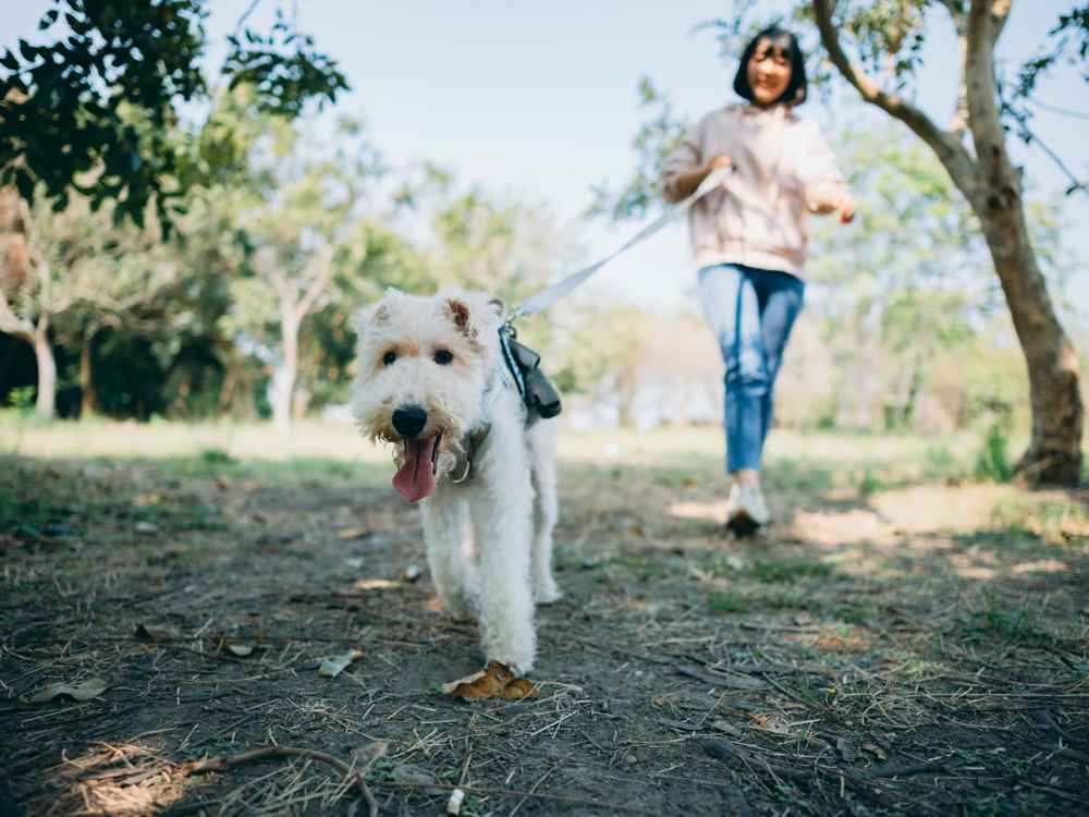 A resident running with her pet dog in a park near Aspen Lakes in Grand Rapids, Michigan  