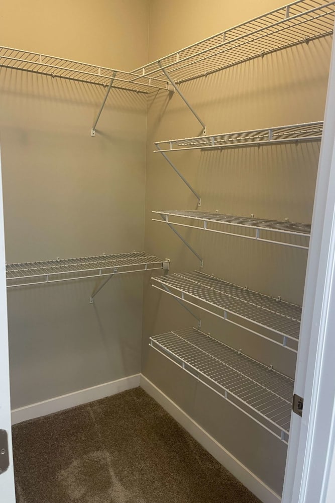 Walk in closet with plush carpeting at Meridian Oaks Apartments in Greenwood, Indiana