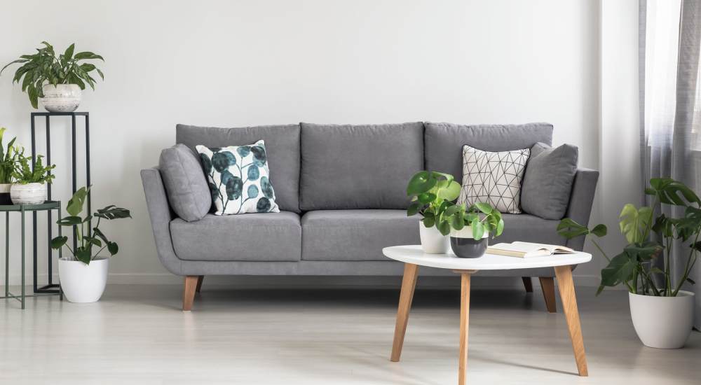 Modern living room with plants at NorthPark Apartment Homes in Gainesville, Texas 