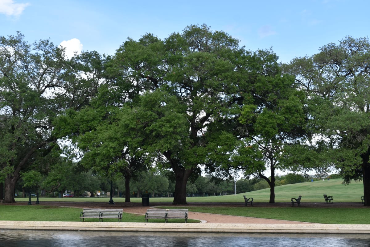 Local Park near Richfield Real Estate Corporation in Houston, Texas