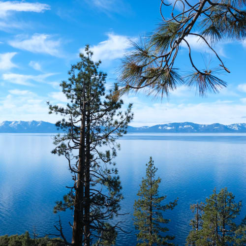 Lake Tahoe near The Trails at Pioneer Meadows in Sparks, Nevada