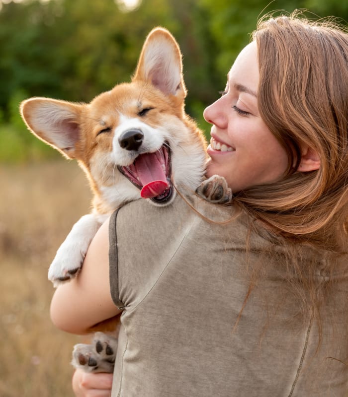 Smiling Corgi and her owner enjoying the day outside at Mission Rock at Novato in Novato, California