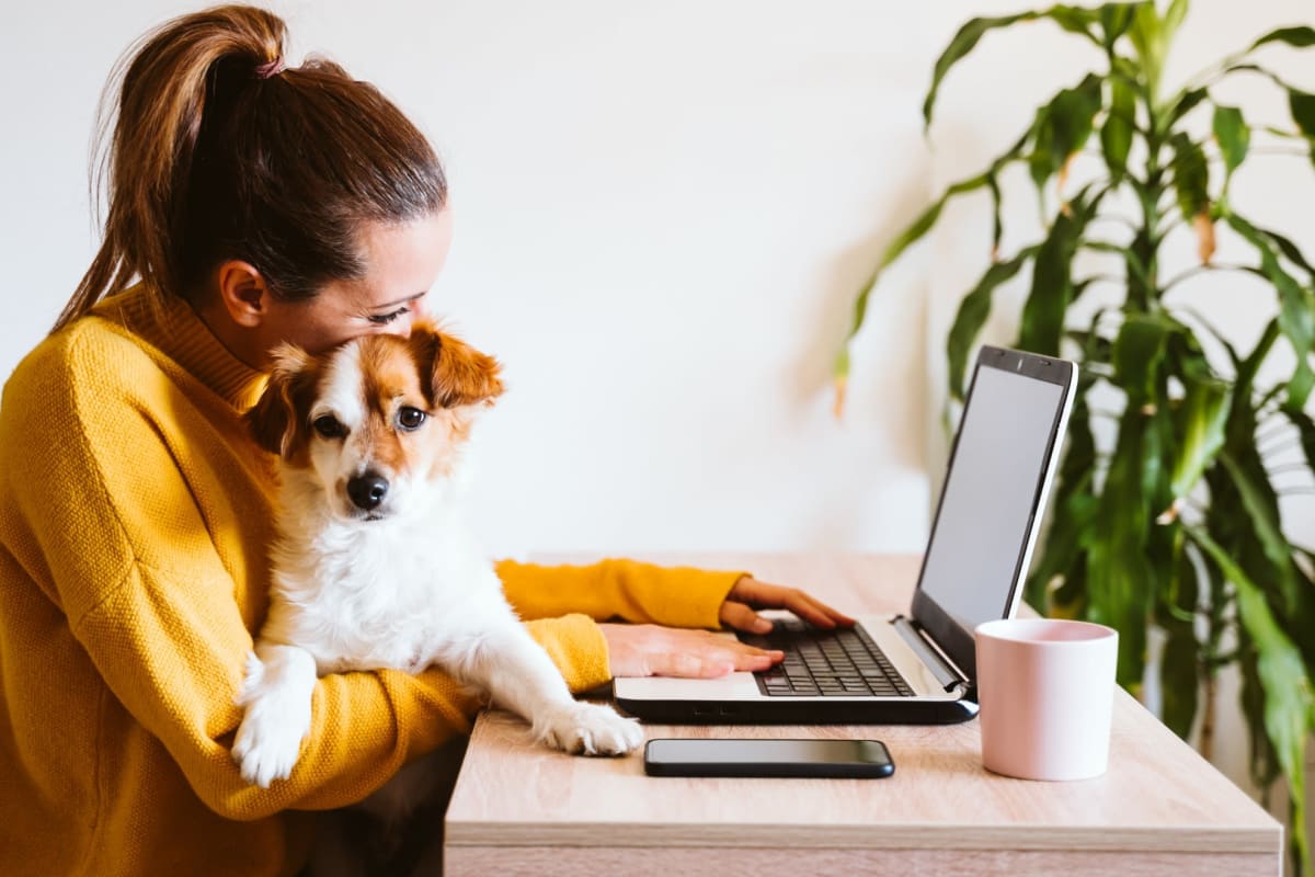 Woman working on her computer at her desk while her adorable dog sits in her lap at Takoma Flats in Washington, District of Columbia