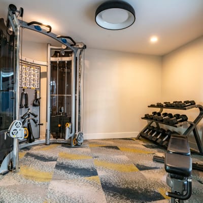 Free weights and weight machines in the fitness center at Terra Martinez in Martinez, California