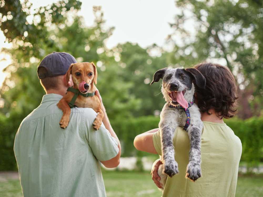 A residents carrying their pets  in a park near Timber View Apartments in Grand Haven, Michigan 