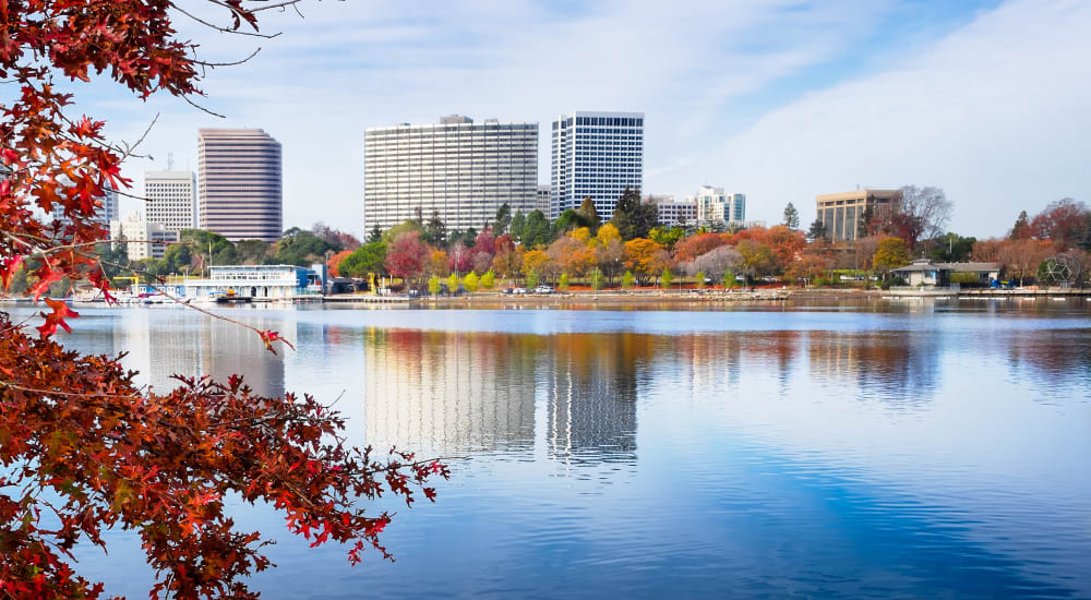 Lake Merritt view framed by foreground red maple leaf tree Piedmont in Oakland, California