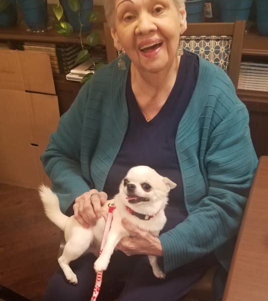 A smiling woman holds Maddie, a therapy dog, in her lap