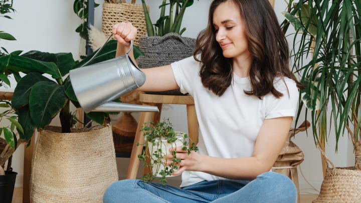 woman watering a plant on the floor | apartment-friendly plants