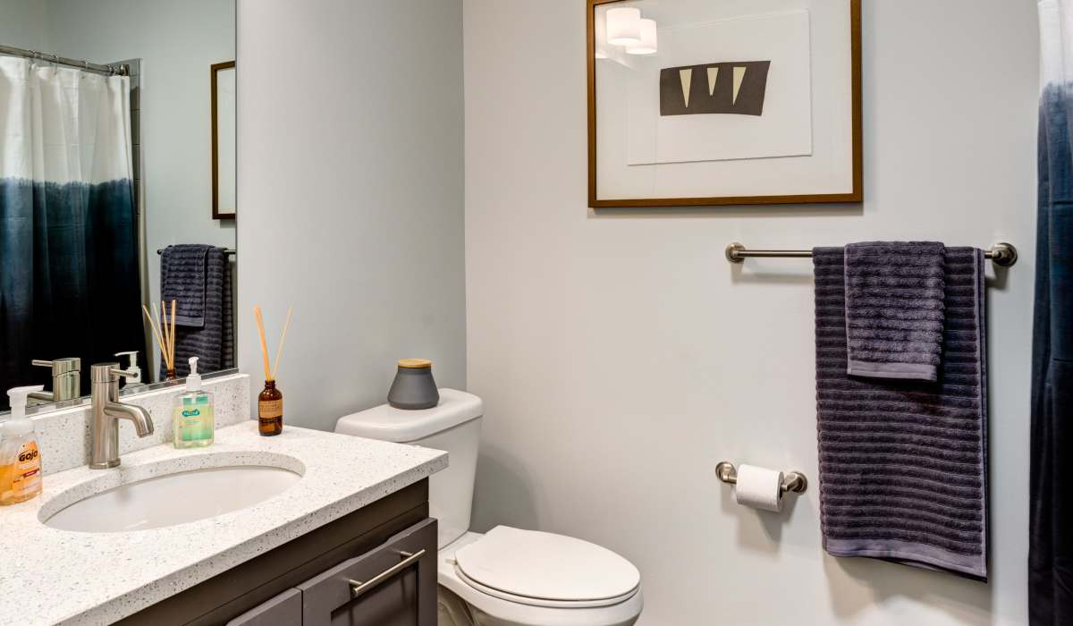 Bathroom with modern finishes at Attain Downtown, Norfolk, Virginia