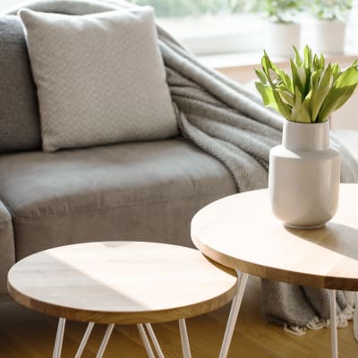 Modern style sofa with side tables and plant at Terra Apartment Homes in Federal Way, Washington