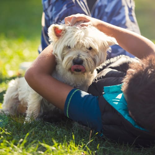 A resident playing with a dog in a grassy area at El Centro New Fund Housing (Officers) in El Centro, California