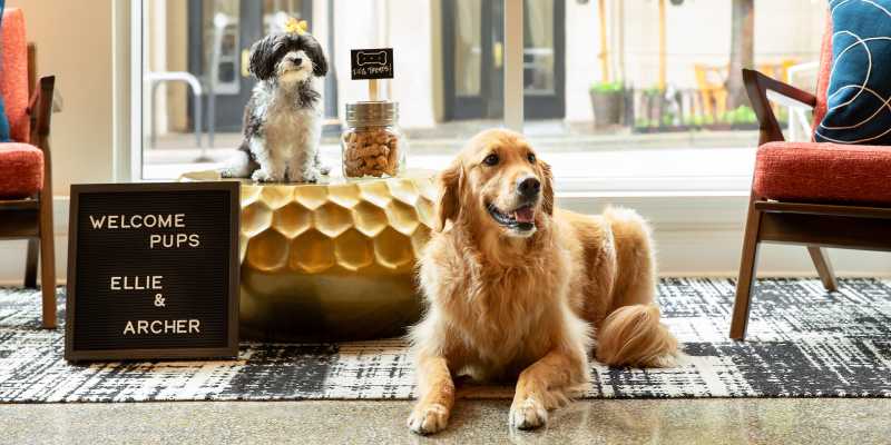 Pet Friendly