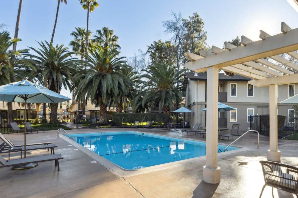 Gated swimming pool surrounded by large palm trees at Villa Palms Apartment Homes in Livermore, California