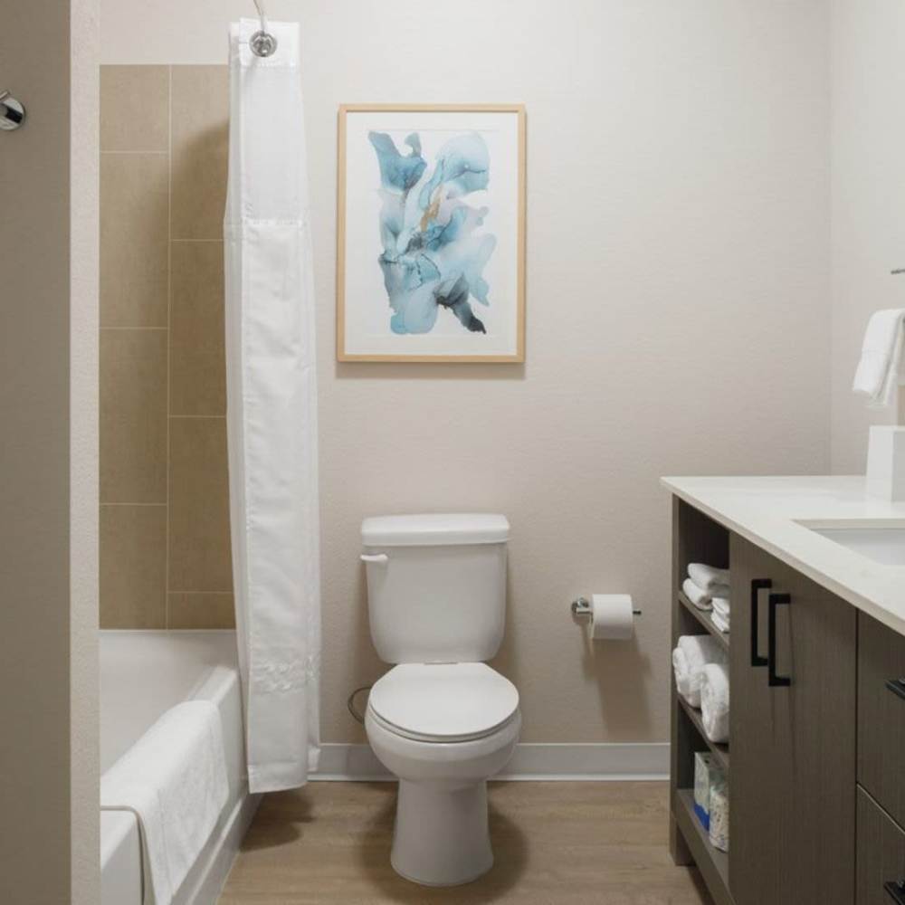 Modern bathroom with tub, shower curtain, and stylish wall art above a clean vanity at WaterWalk Boise - Meridian in Meridian, Idaho