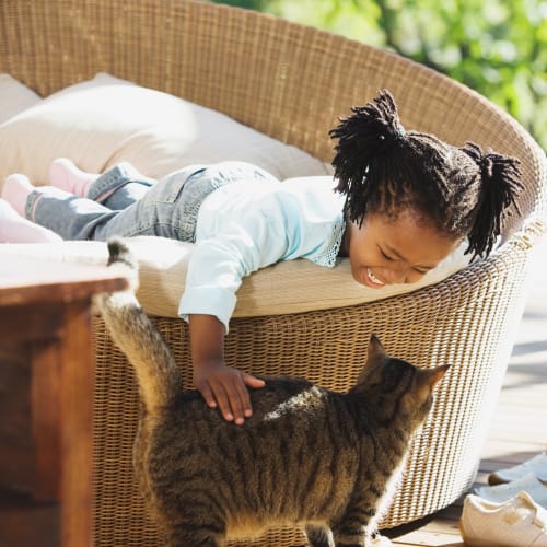 A kid playing with her cat at On Base Housing in Yuma, Arizona