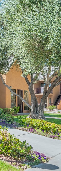 Lush flora and mature trees outside the leasing office at Shelter Cove Apartments in Las Vegas, Nevada