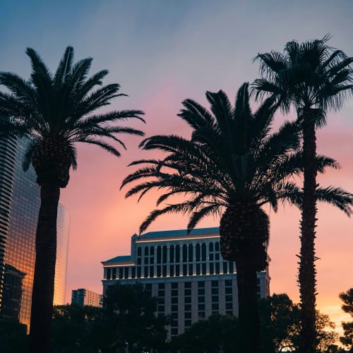 sunset view of palm trees and a building on the Las Vegas strip