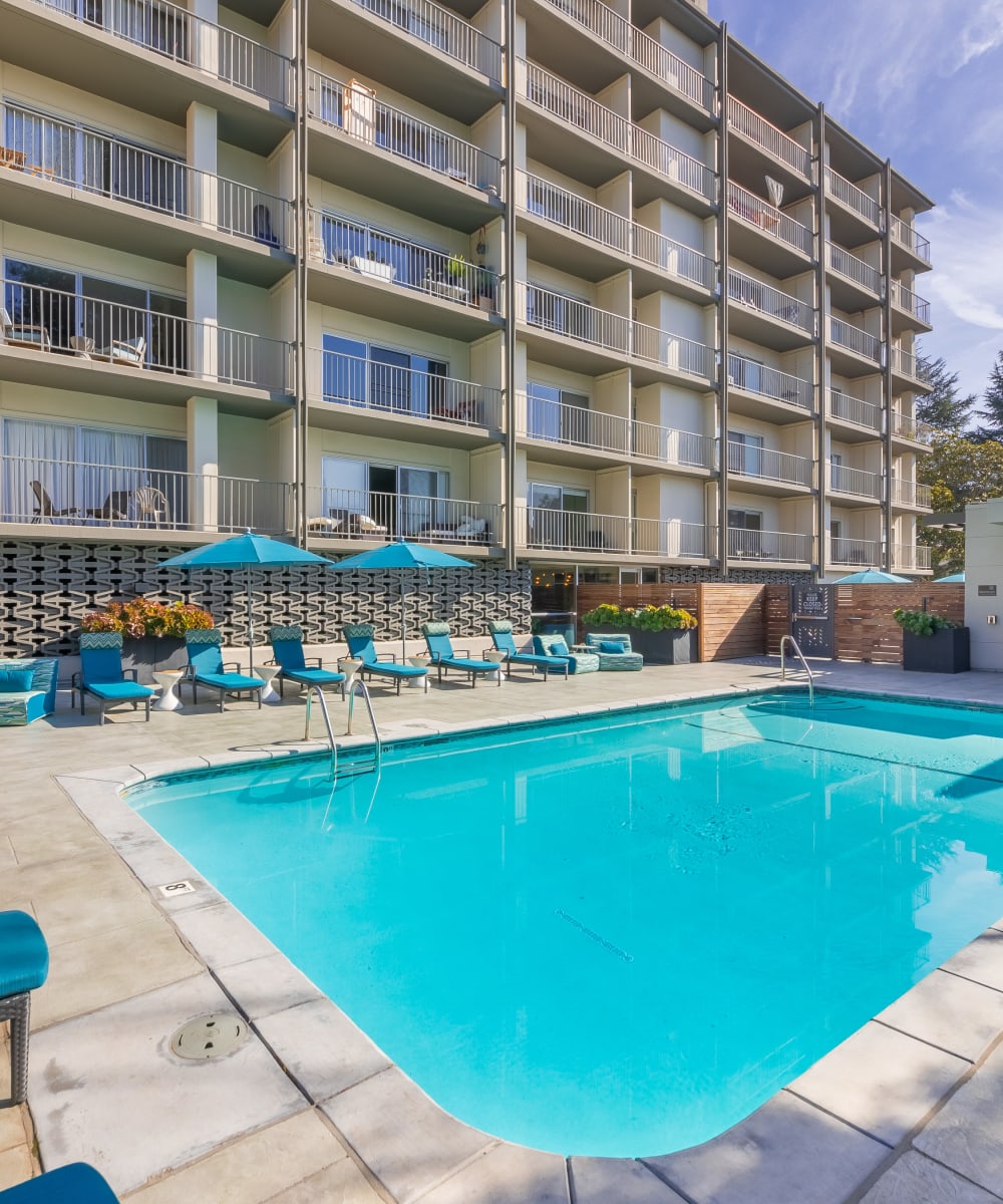 View of the swimming pool area from an upper floor at Mia in Palo Alto, California