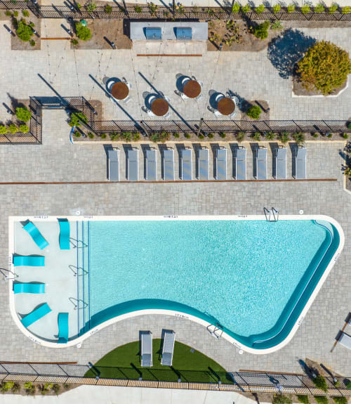 Luxury swimming pool at The Mallory in Raleigh, North Carolina